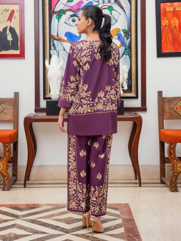 2 piece stitched suit for womens - Image 3